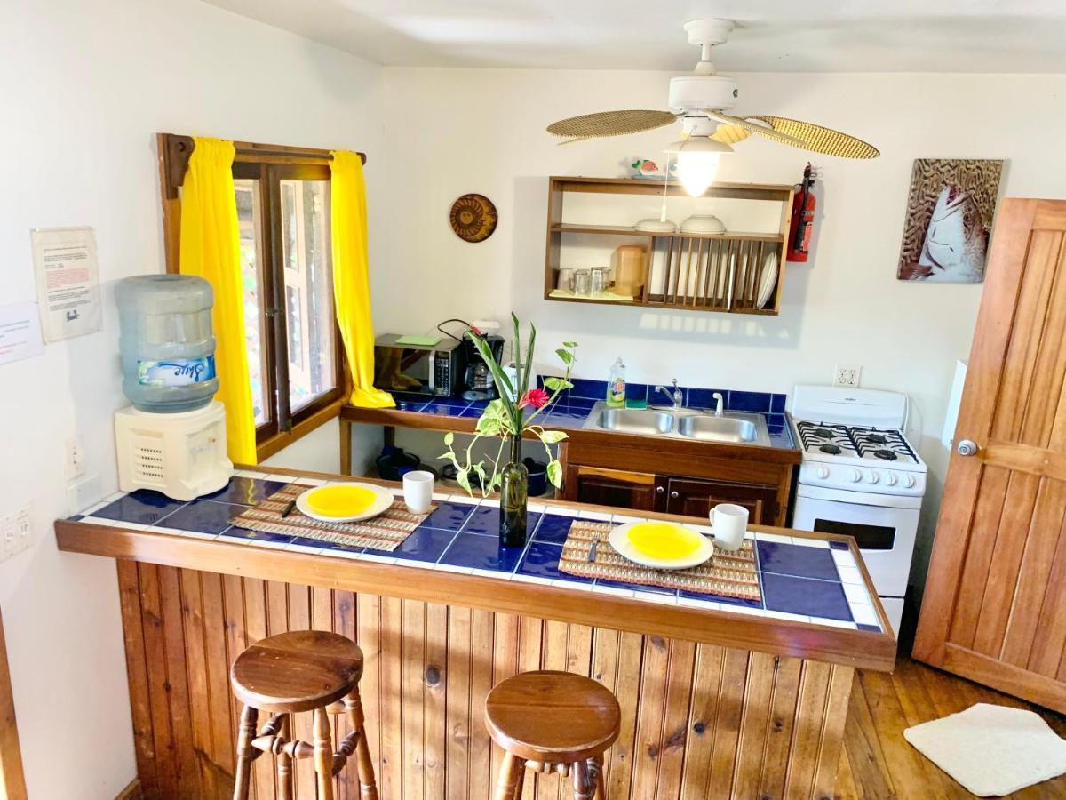 Seabreeze Inn West End Extérieur photo